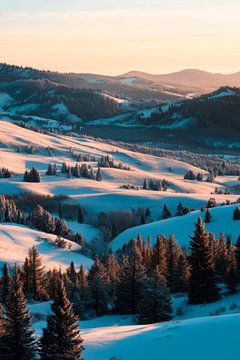 Winterlandschap van Poster Art Shop