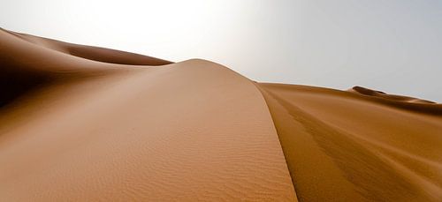 Sahara °4