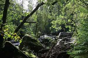 Unberührte Natur in Schottland von Floortje Mink