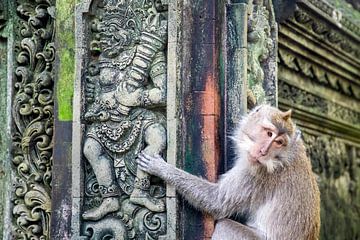 Monkey climbs on a temple. by Floyd Angenent