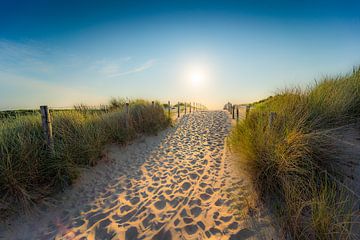 Durch die Dünen zum Strand von Remco Piet