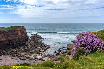 Irland, die Copper Coast
