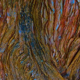 Abstracte natuur van Nick Holland