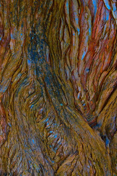 Abstrakte Natur von Nick Holland