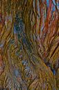 Abstrakte Natur von Nick Holland Miniaturansicht