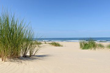 Sommer am Strand von Sjoerd van der Wal