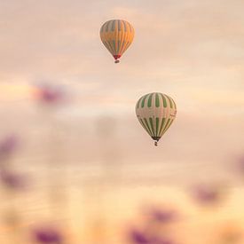 Sfeerbeeld luchtballonnen bij zonsopkomst van Melissa Peltenburg
