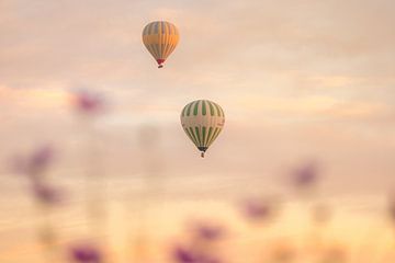 Atmosphere image hot air balloons at sunrise