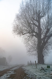 Landschaft Teil 21