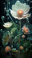 Weiße Anemonen