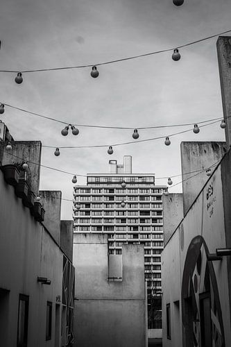Black & White by Manuel Lieb