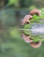 Double vision avant la sortie