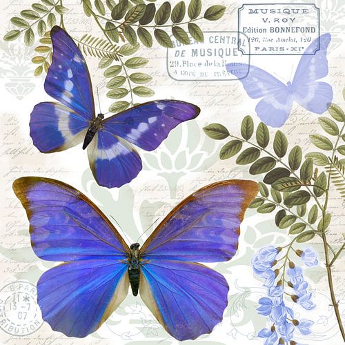 Blaue Morphos auf hellem Hintergrund