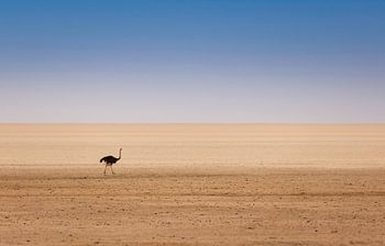 Die Macht des Nichts - allein auf der Welt