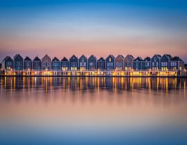 Houten Rietplas van Joep Henkelman