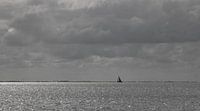 Sailing in the wind