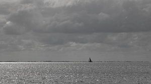 Sailing in the wind