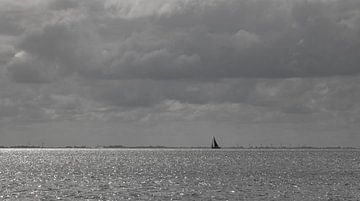 Sailing in the wind sur Nicole Nagtegaal