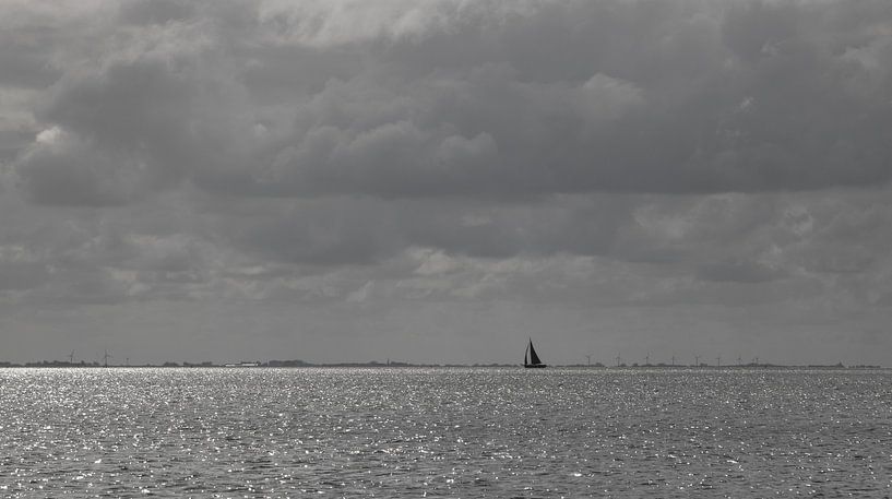Sailing in the wind by Nicole Nagtegaal