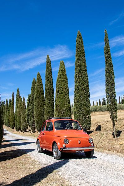 Fiat in cypress avenue (2) by Jolanda van Eek en Ron de Jong
