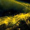 Golden Currents van Rita Tielemans Kunst