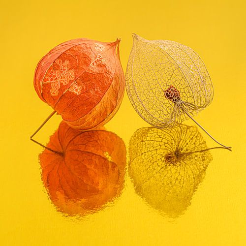 Warm geel vierkantje met stilleven van twee lampionnetjes bij elkaar van Marjolijn van den Berg