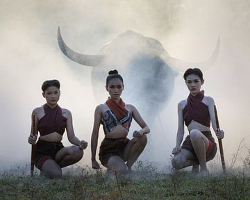Three young Thai women with a water buffalo
