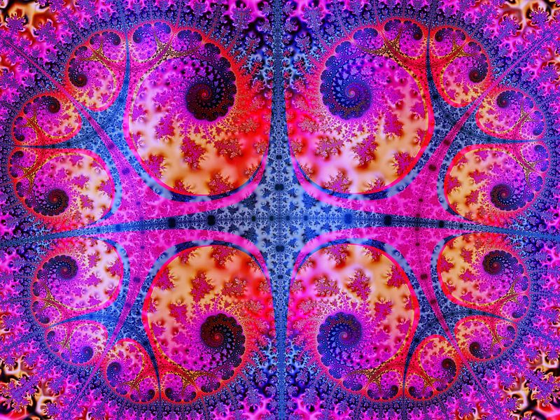 Explosive Farbspiralen (Coral Series #05) von Aad van Dorp