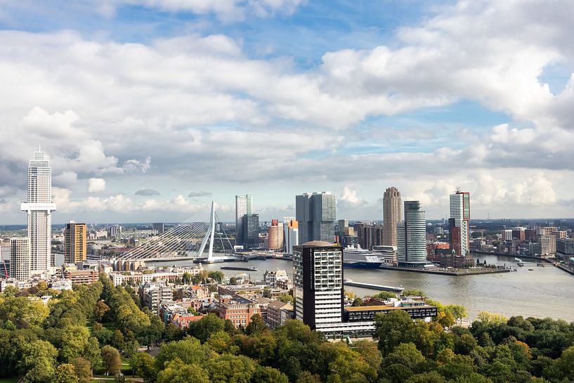 Pont Erasmus et Hôtel New York depuis l'Euromast, Rotterdam - Photographie de voyage par Dana Schoenmaker