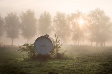 een waterkar in het veld op de oevers van de Leie tijdens een mistige ochtend in Kortrijk, Belgie