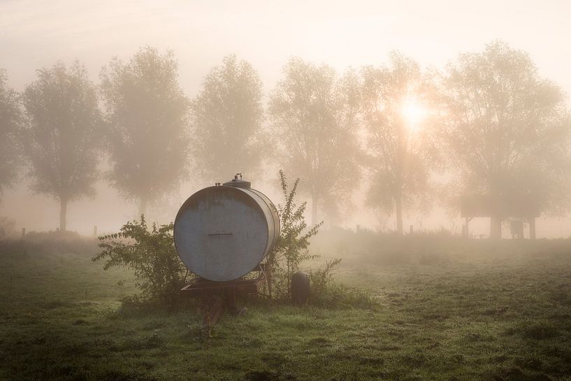 een waterkar in het veld op de oevers van de Leie tijdens een mistige ochtend in Kortrijk, Belgie von Fotografie Krist / Top Foto Vlaanderen