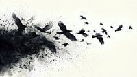 Black ravens from a dark cloud