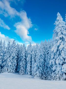 Winterlandschaft im Montafon