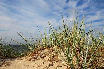 Scènes d'avril sur Ostsee Bilder