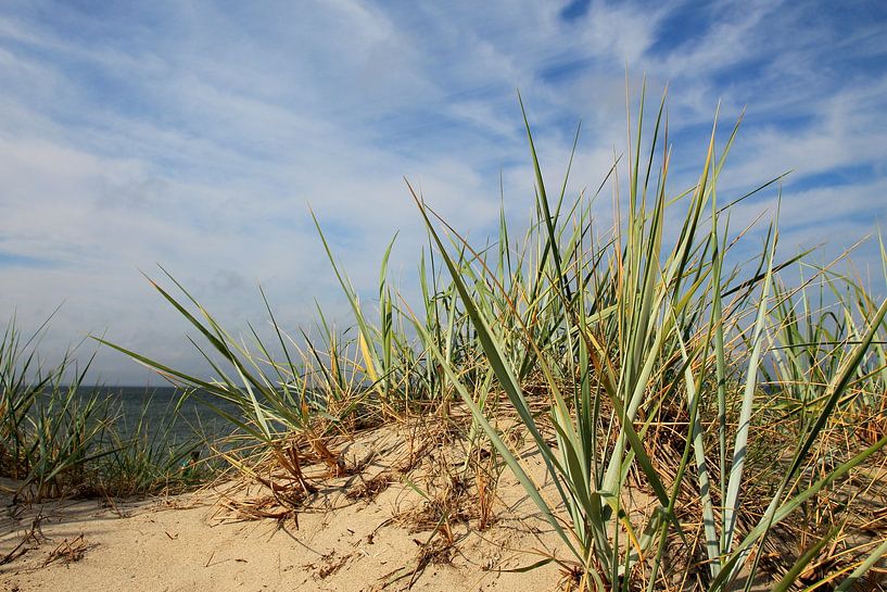 April stages by Ostsee Bilder