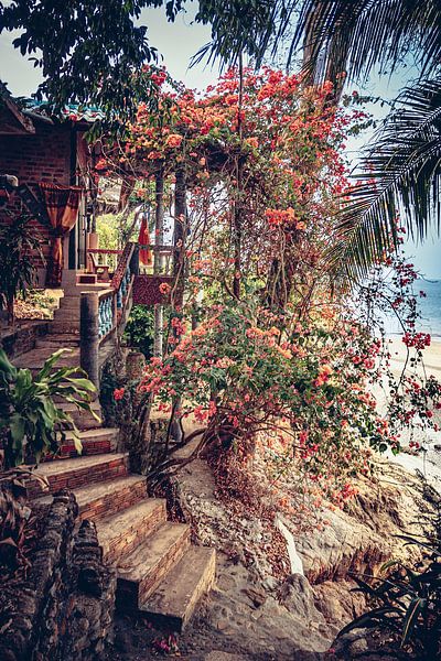 Tropical idyll by Inaceline