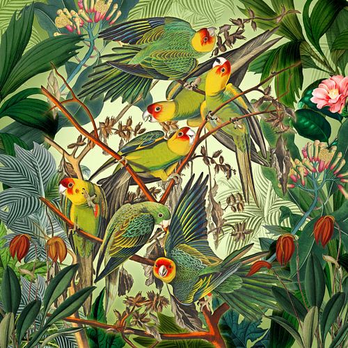 Pleasured amazon papgeia by christine b-b müller