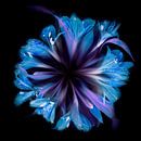 Bloemencirkel in blauw van Greetje van Son thumbnail