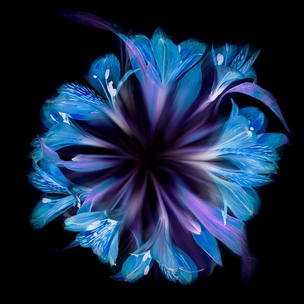 Blumenkreis in Blau von Greetje van Son
