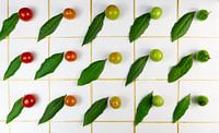 Muster aus Lorbeer und Tomaten
