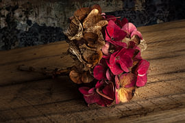 Herfst