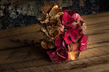 Herbst