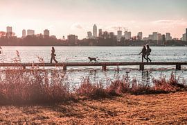 Winterglow Rotterdam 5