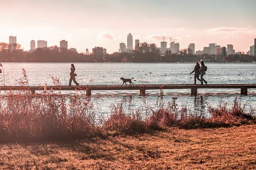 Winterglow Rotterdam 5