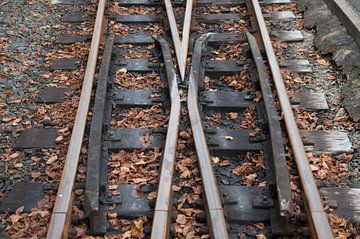 Ffestiniog Railway line. van Richard Wareham