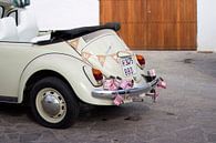 Ibiza wedding van Photo Dutch thumbnail