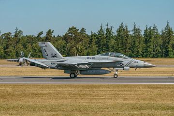 Landung einer Boeing F/A 18F Super Hornet der U.S. Navy. von Jaap van den Berg