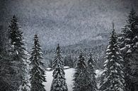 Bavarian Winter's Tale I by Melanie Viola thumbnail