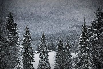 Bavarian Winter's Tale I by Melanie Viola