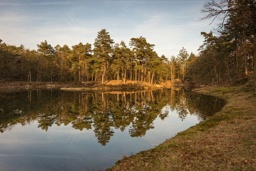 Birkhoven Wald Spiegelung Teich II - Amersfoort, Niederlande von Thijs van den Broek